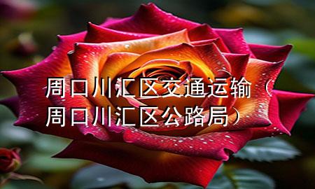 周口川汇区交通运输(周口川汇区公路局)