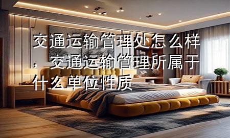 交通运输管理处怎么样,交通运输管理所属于什么单位性质