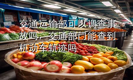 交通运输部可以调查事故吗,交通部门能查到机动车轨迹吗