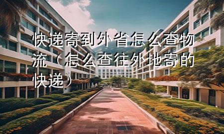 快递寄到外省怎么查物流(怎么查往外地寄的快递)