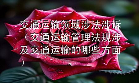 交通运输领域涉法涉诉(交通运输管理法规涉及交通运输的哪些方面)