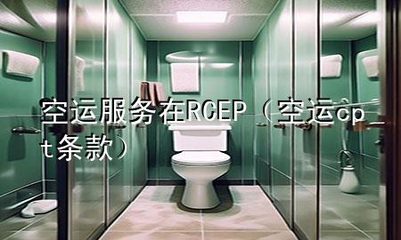空运服务在RCEP（空运cpt条款）