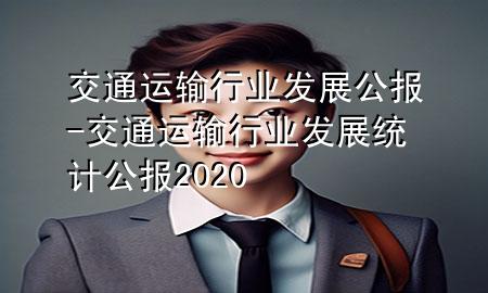 交通运输行业发展公报-交通运输行业发展统计公报2020