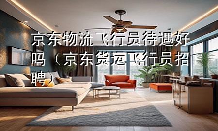 京东物流飞行员待遇好吗（京东货运飞行员招聘）