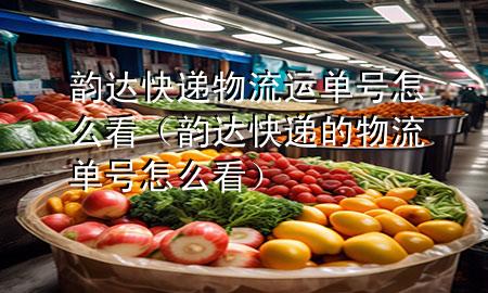 韵达快递物流运单号怎么看(韵达快递的物流单号怎么看)