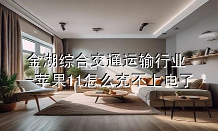 金湖综合交通运输行业-苹果11怎么充不上电了