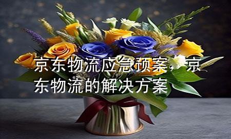 京东物流应急预案,京东物流的解决方案