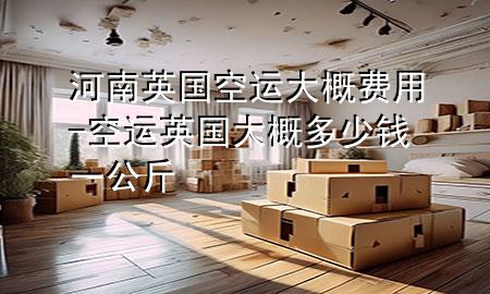 河南英国空运大概费用-空运英国大概多少钱一公斤