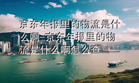 京东年报里的物流是什么啊-京东年报里的物流是什么啊怎么查