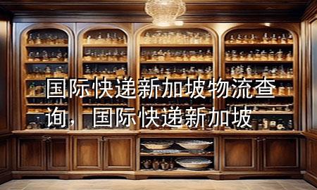 国际快递新加坡物流查询,国际快递 新加坡
