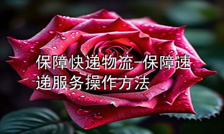 保障快递物流-保障速递服务操作方法