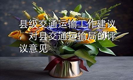 县级交通运输工作建议，对县交通运输局的评议意见