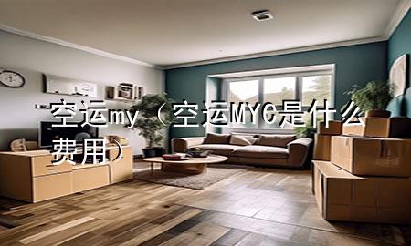 空运 my(空运MYC是什么费用)
