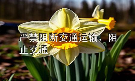 严禁阻断交通运输,阻止交通