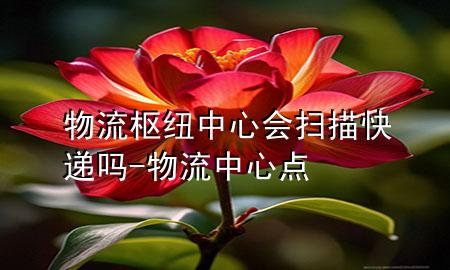 物流枢纽中心会扫描快递吗-物流中心点