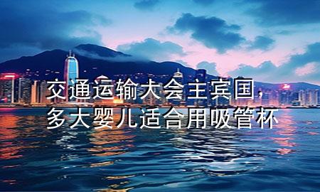 交通运输大会主宾国，多大婴儿适合用吸管杯