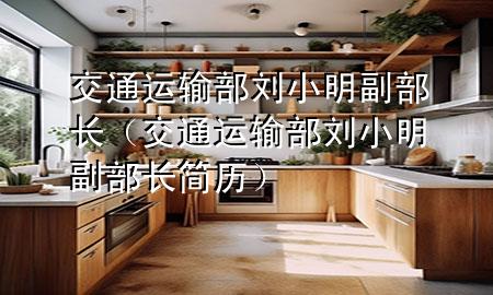 交通运输部刘小明副部长(交通运输部刘小明副部长简历)