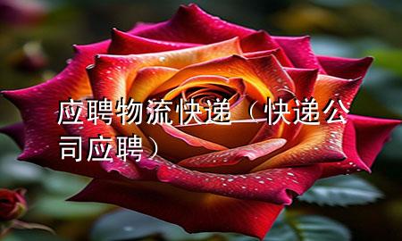 应聘物流快递(快递公司应聘)