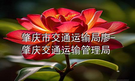 肇庆市交通运输局廖-肇庆交通运输管理局