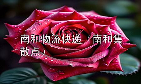南和物流快递（南和集散点）