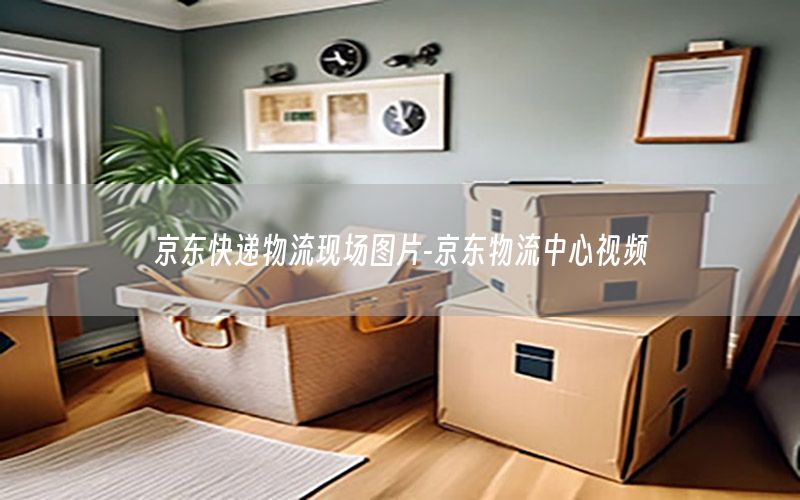 京东快递物流现场图片-京东物流中心视频
