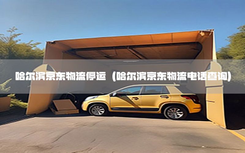 哈尔滨京东物流停运（哈尔滨京东物流电话查询）