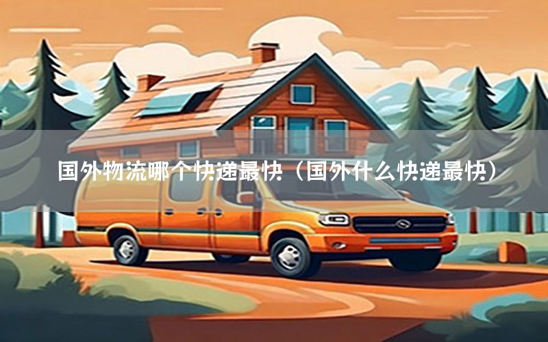 国外物流哪个快递最快（国外什么快递最快）