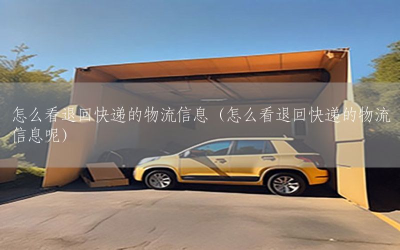 怎么看退回快递的物流信息（怎么看退回快递的物流信息呢）