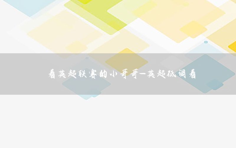 看英超联赛的小哥哥-英超低调看
