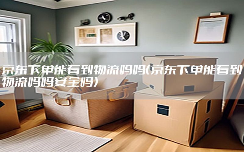 京东下单能看到物流吗吗（京东下单能看到物流吗吗安全吗）