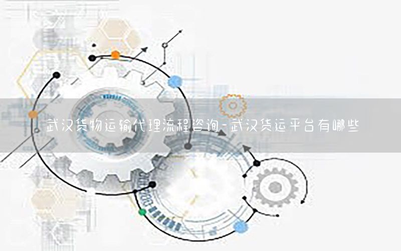 武汉货物运输代理流程咨询-武汉货运平台有哪些