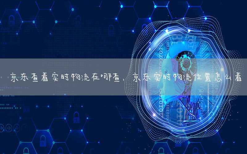 京东查看实时物流在哪查，京东实时物流位置怎么看