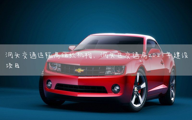 洞头交通运输局组织机构，洞头区交通局2021年建设项目