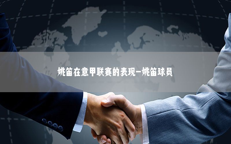 姚笛在意甲联赛的表现-姚笛球员