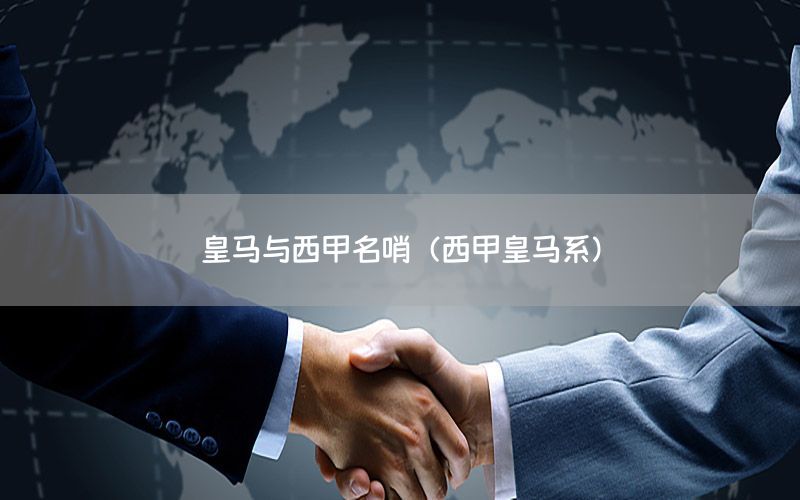 皇马与西甲名哨（西甲皇马系）