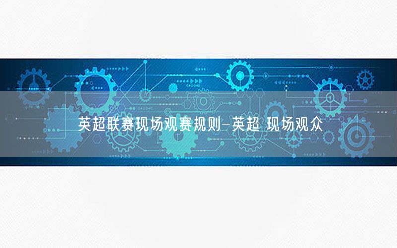 英超联赛现场观赛规则-英超 现场观众