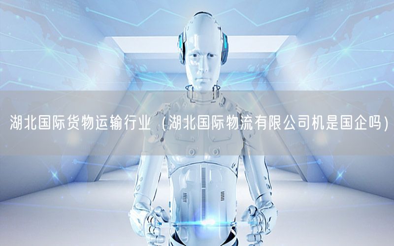 湖北国际货物运输行业（湖北国际物流有限公司机是国企吗）