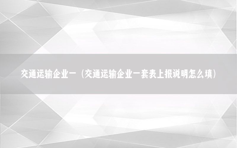 交通运输企业一（交通运输企业一套表上报说明怎么填）