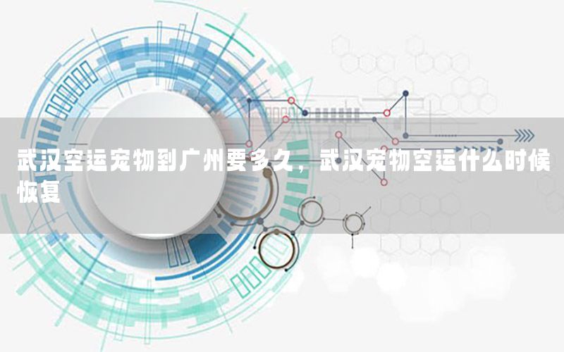武汉空运宠物到广州要多久，武汉宠物空运什么时候恢复