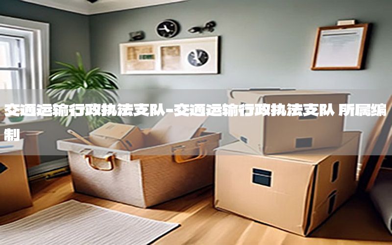 交通运输行政执法支队-交通运输行政执法支队 所属编制