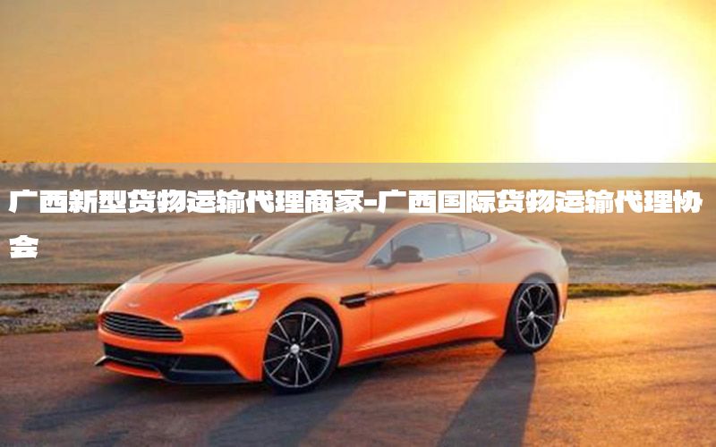 广西新型货物运输代理商家-广西国际货物运输代理协会