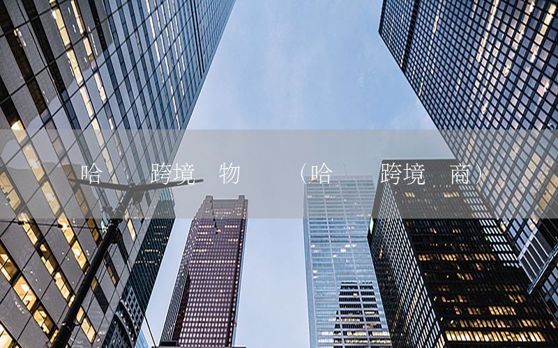 哈尔滨跨境货物运输（哈尔滨跨境电商）