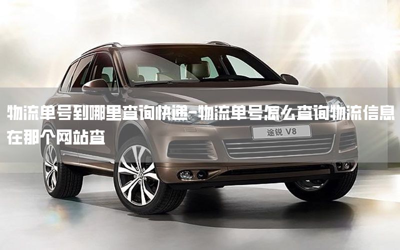 物流单号到哪里查询快递-物流单号怎么查询物流信息在那个网站查