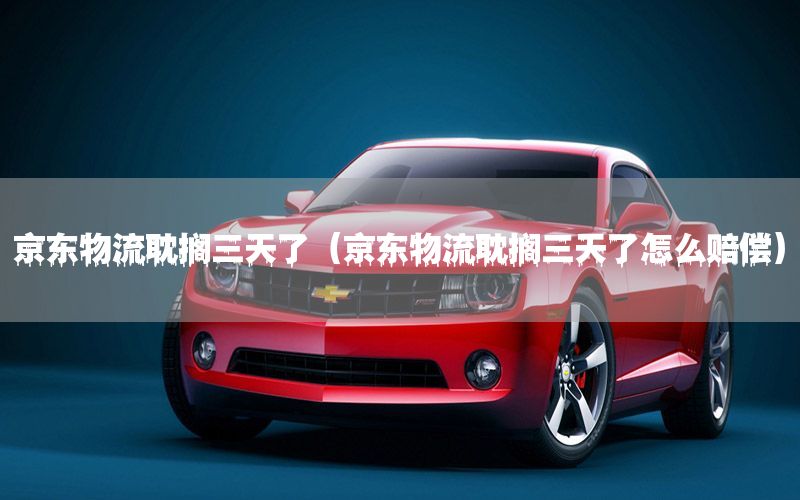 京东物流耽搁三天了（京东物流耽搁三天了怎么赔偿）