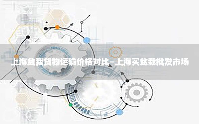 上海盆栽货物运输价格对比-上海买盆栽批发市场
