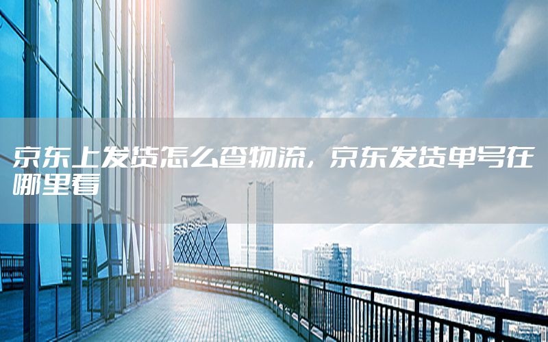 京东上发货怎么查物流，京东发货单号在哪里看