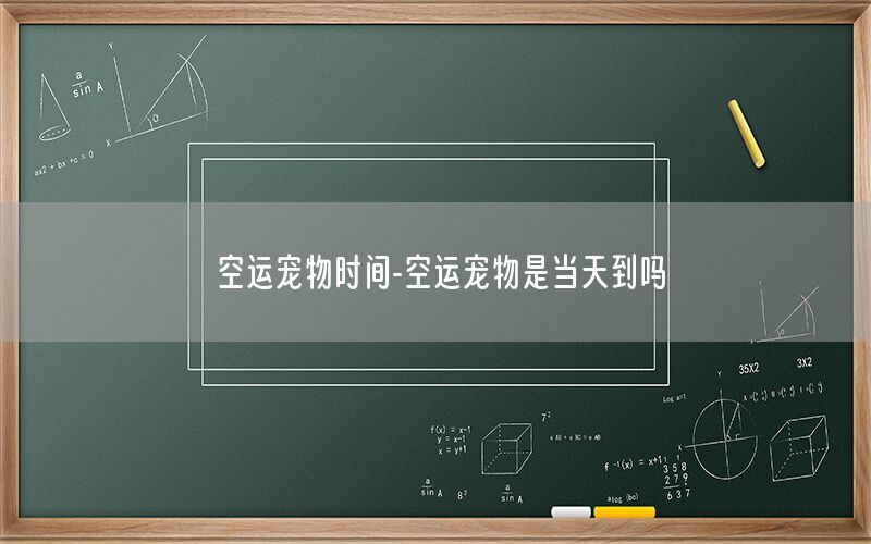 空运宠物时间-空运宠物是当天到吗