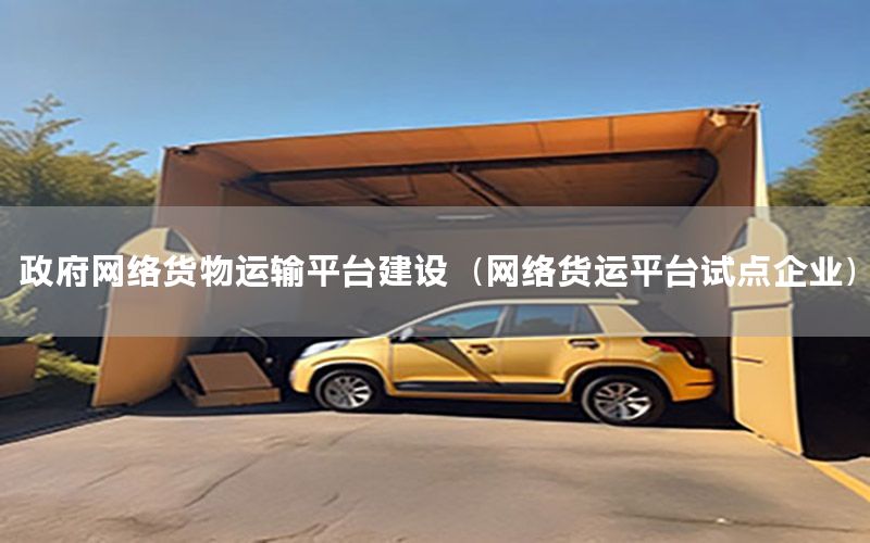 政府网络货物运输平台建设（网络货运平台试点企业）
