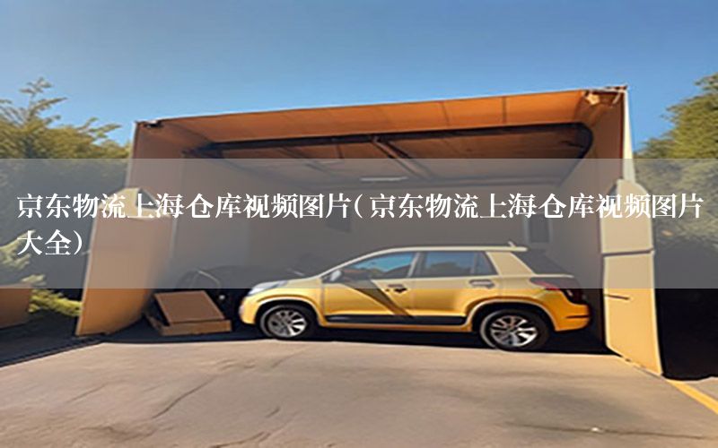 京东物流上海仓库视频图片（京东物流上海仓库视频图片大全）