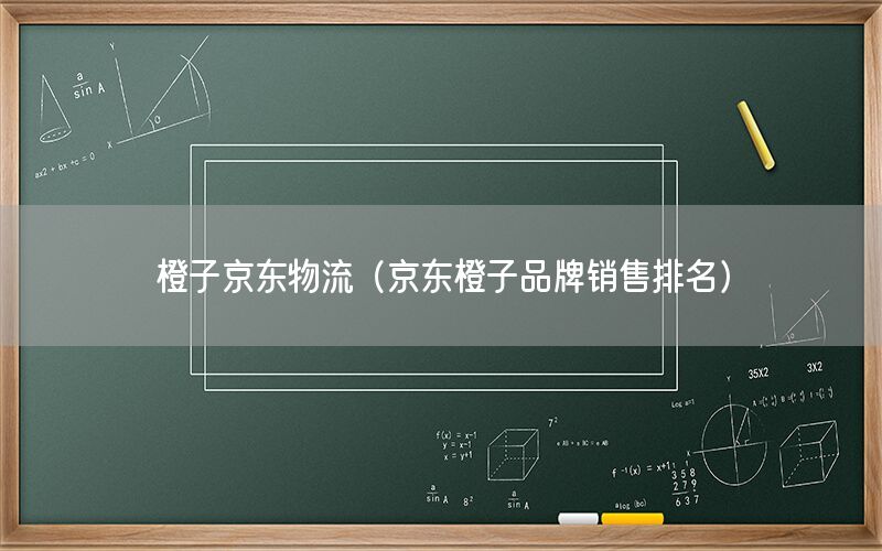 橙子京东物流（京东橙子品牌销售排名）